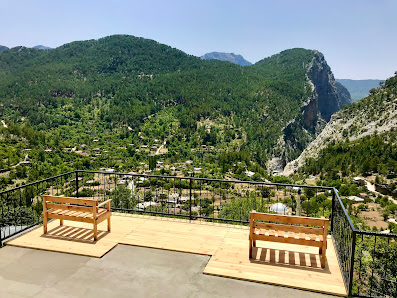 Ala Çiftlik Yerel İşletme fotoğrafı 2