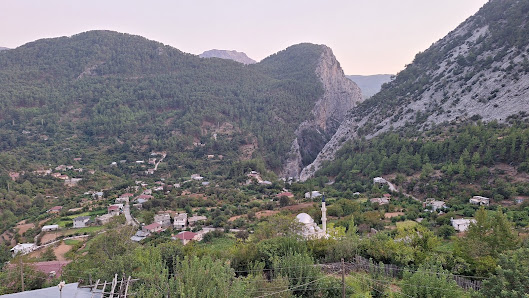 Ala Çiftlik Yerel İşletme fotoğrafı 3