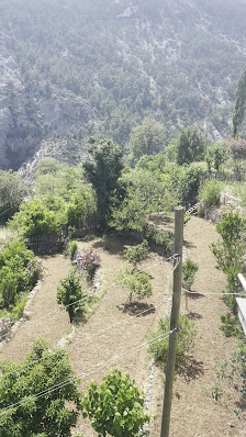 Ala Çiftlik Yerel İşletme fotoğrafı 4